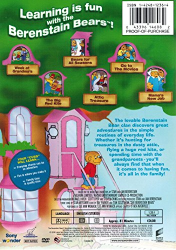 The Berenstain Bears: Fun Family Adventures [DVD]